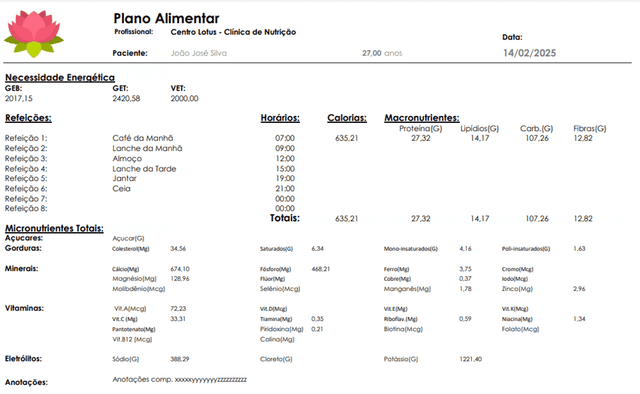 Pdf 1 Plano Alimentar