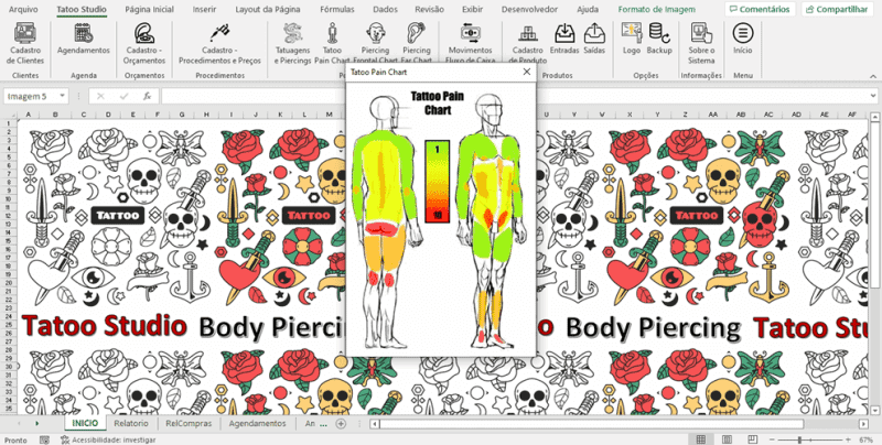 Planilha de Estúdio de Tatuagem e Piercing Excel 5