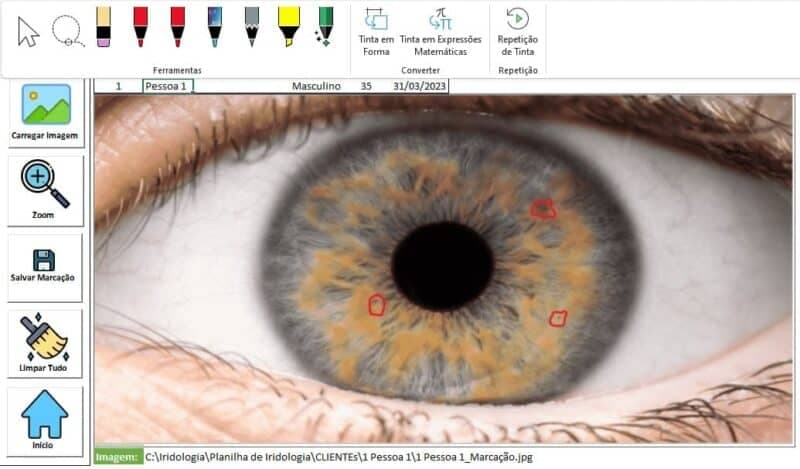 Planilha de Iridologia Excel 3