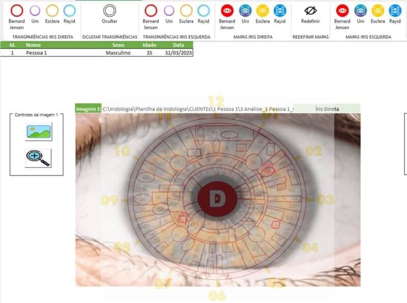 Planilha de Iridologia Excel 4