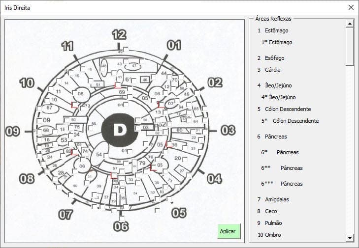 Planilha de Iridologia Excel 5