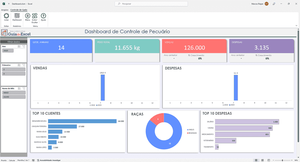 Planilha Controle de Rebanho Bovino Gado Excel 5