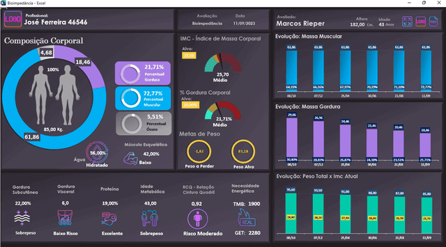 Dashboard Bioimpedância Excel 1