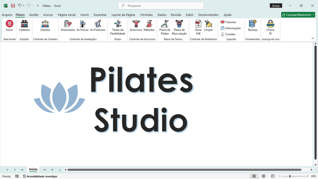 planilha pilates excel