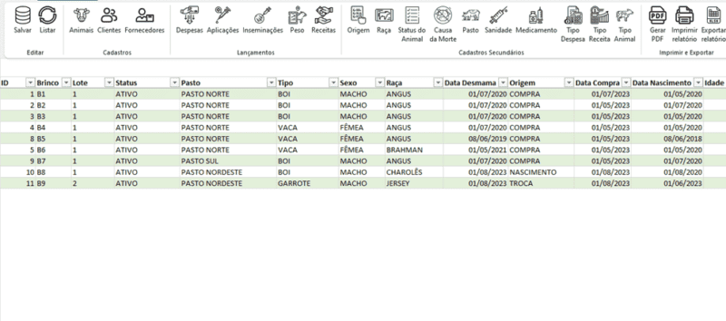 Planilha de Controle Bovino Excel 6