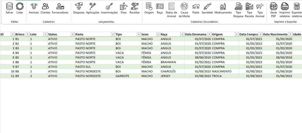 Planilha de Controle Bovino Excel 6