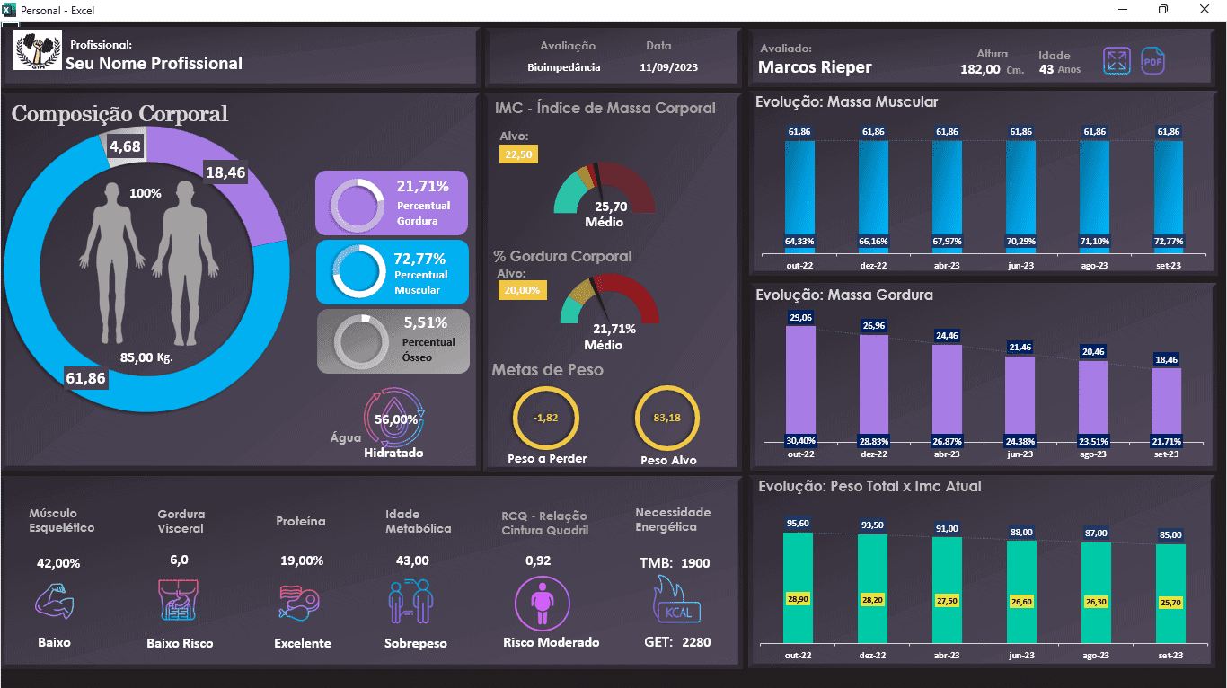 Bioimpedancia dashboard planilha